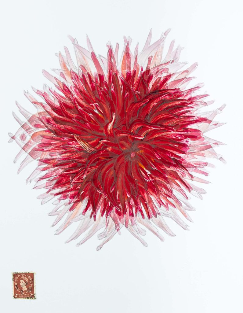 flowers, photography, drawing and watercolor